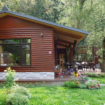 Puli Star Garden B&B Номер фото
